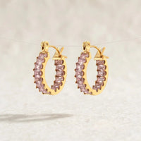 Luxury Sparkle Earrings