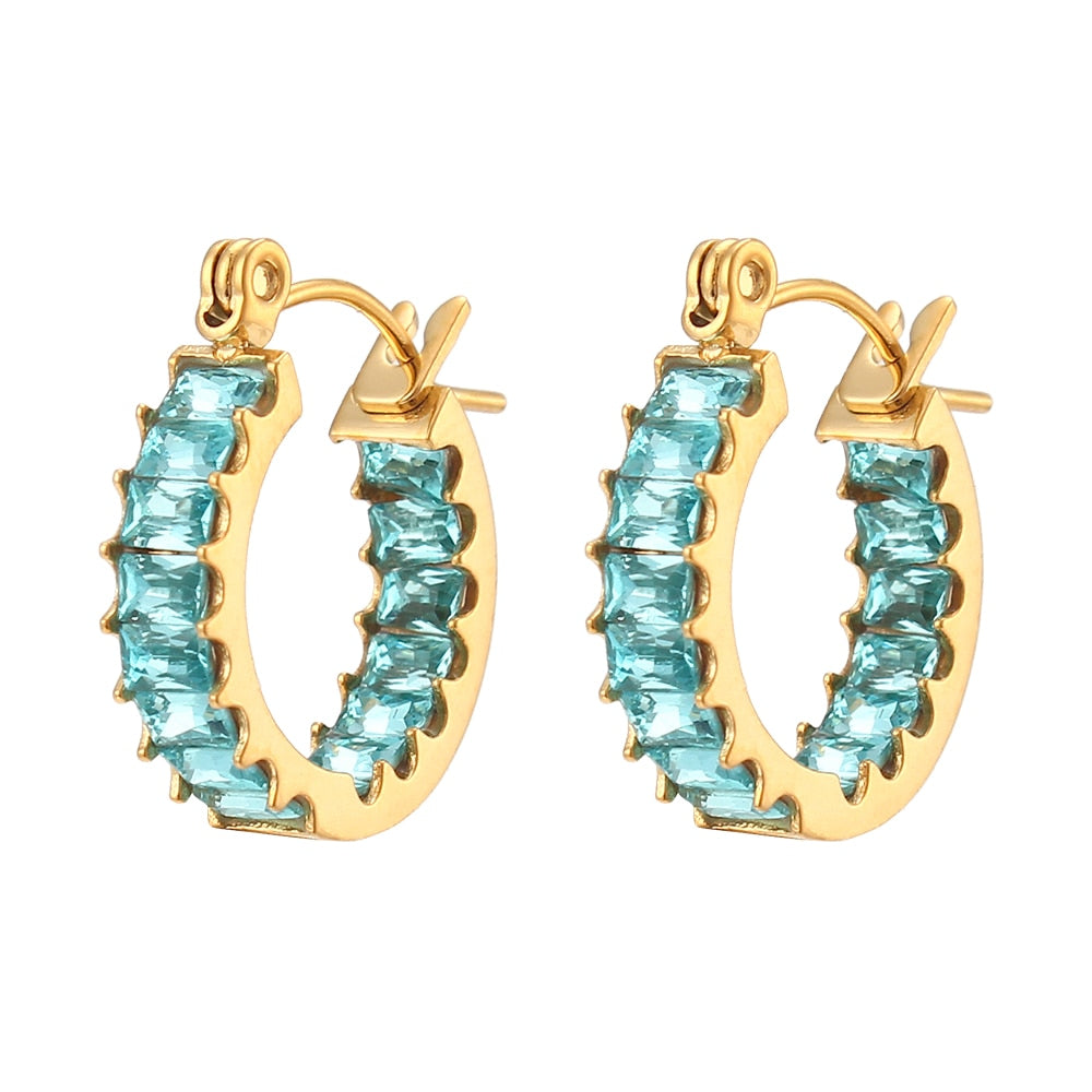 Luxury Sparkle Earrings