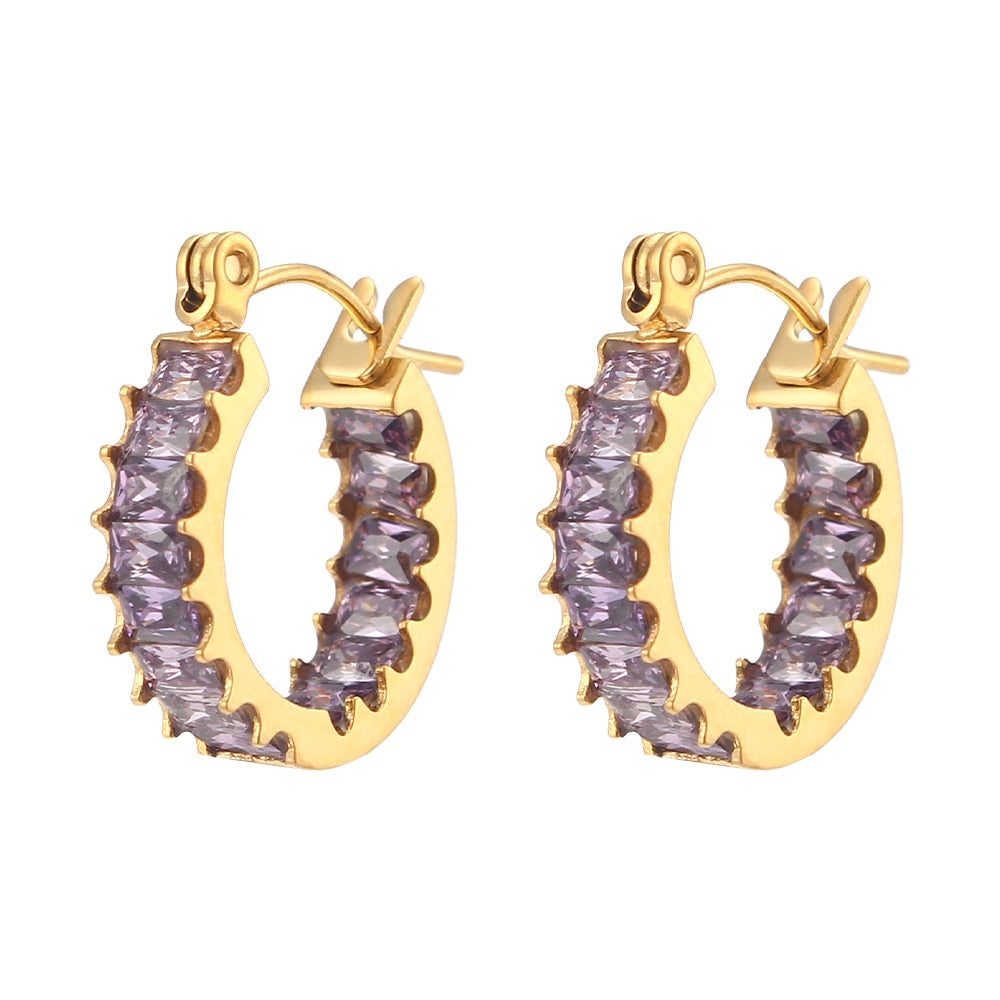 Luxury Sparkle Earrings