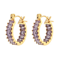 Luxury Sparkle Earrings