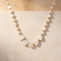 Natural Seashell Gold Bead Necklace