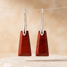 Red Jasper Silver Trapezoid Drop Earrings